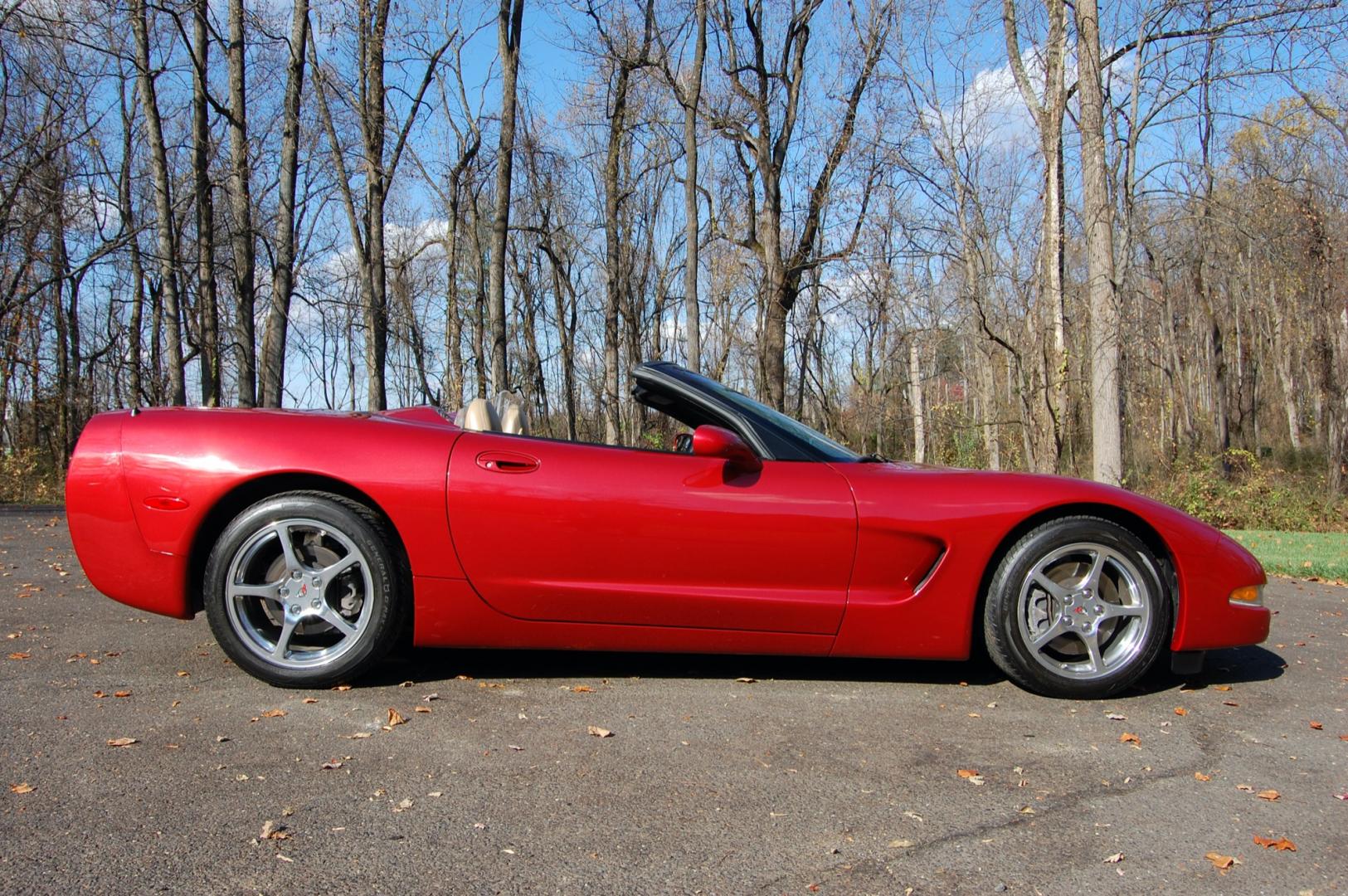 1998 Burgundy /Beige Leather Chevrolet Corvette (1G1YY32G9W5) with an 5.7 liter V8 engine, Automatic transmission, located at 6528 Lower York Road, New Hope, PA, 18938, (215) 862-9555, 40.358707, -74.977882 - Photo#19